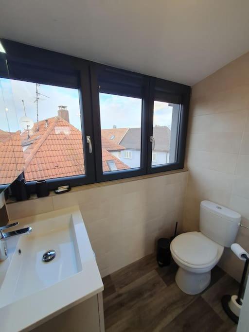 Appartement 2 Pieces Tout Confort, Aux Portes De Colmar Andolsheim Exterior photo