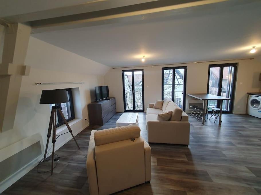 Appartement 2 Pieces Tout Confort, Aux Portes De Colmar Andolsheim Exterior photo